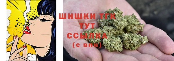 apvp Новозыбков