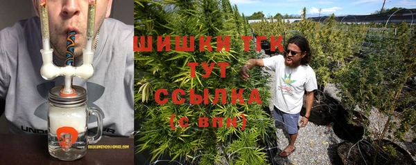 apvp Новозыбков
