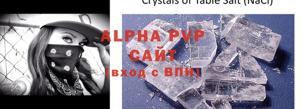 ешки Новодвинск