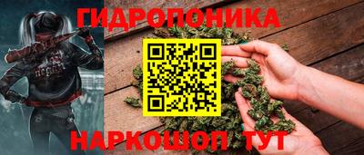 прущие грибы Балашиха