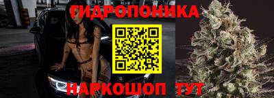 spice Кандалакша