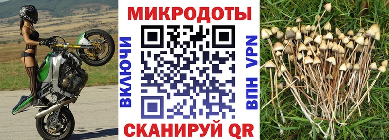 Галлюциногенные грибы MAGIC MUSHROOMS дарнет шоп Набережные Челны